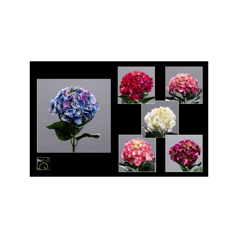 TIGE HORTENSIA 68CM FUCHSIA/VERT de Jardinerie Bordeaux Libourne Gironde dans Plantes artificielles