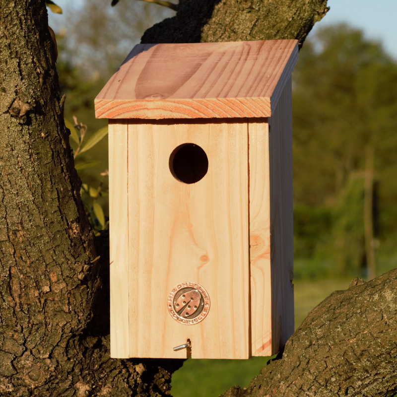 /Nichoir mesanges charbonieres ø 32 en pin de Jardinerie Bordeaux Libourne Gironde dans Nichoirs, Mangeoires et accessoires