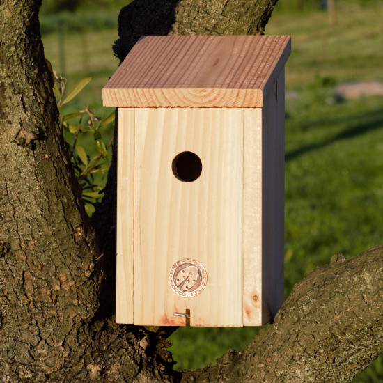/Nichoir petites mesanges ø 28 en pin de Jardinerie Bordeaux Libourne Gironde dans Nichoirs, Mangeoires et accessoires