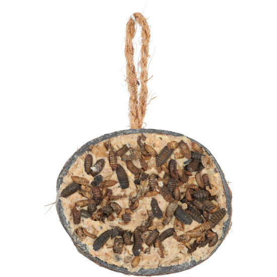 Demi coco graisse insect 250gr de Zolux - Produit pour animaux dans Graines et graisses