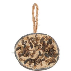 Demi coco graisse insect 250gr de Zolux - Produit pour animaux dans Graines et graisses