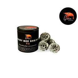 Baby bee shrimp x5 pour crevettes d'aquarium de Gioia Shrimp, les lollies dans Alimentation autres poissons