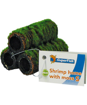 Shrimp home crevette avec mousse s de Superfish - Aquadistri - accessoires pour aquarium et bassin dans Sujets pour aquarium