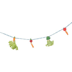 Corde friandises cochon d'inde nlife 150cm de Zolux - Produit pour animaux dans Accessoires pour rongeurs