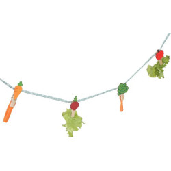 Corde friandises lapin nlife 150cm de Zolux - Produit pour animaux dans Accessoires pour rongeurs