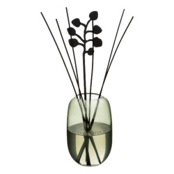 Diffuseur cosy eucalyptus 500ml de Jardinerie Bordeaux Libourne Gironde dans Produits parfumés, huile essentielle et Lampe Be...