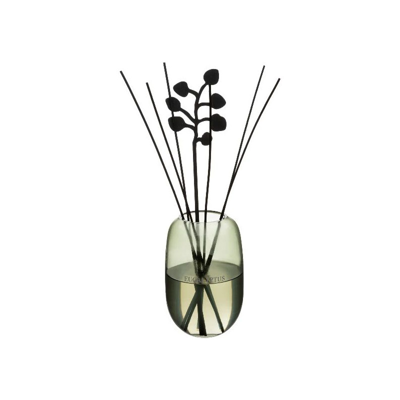Diffuseur cosy eucalyptus 500ml de Jardinerie Bordeaux Libourne Gironde dans Produits parfumés, huile essentielle et Lampe Be...