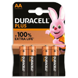 Piles duracell plus 100% aa x4 de Jardinerie Bordeaux Libourne Gironde dans Piles pour appareils électroniques