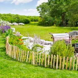 Bordure Noisetier  L.150Xh. 40Cm + 20 Cm Tige de Jany France dans Bordure de jardin