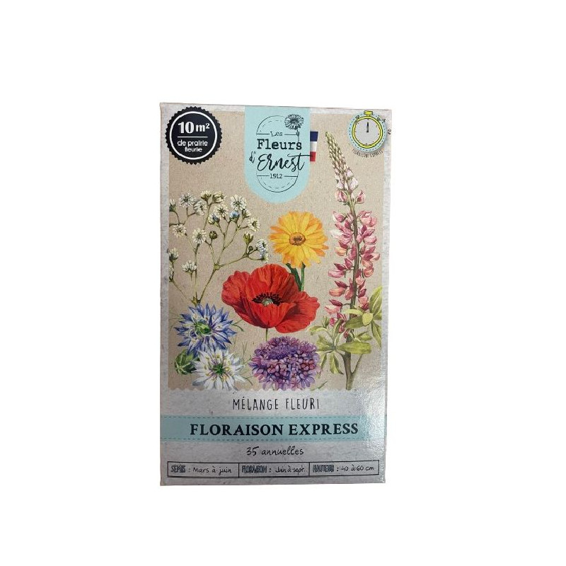 Melange de graines de fleurs floraison express 6 de Jardinerie Bordeaux Libourne Gironde dans Graines de Jachere fleurie