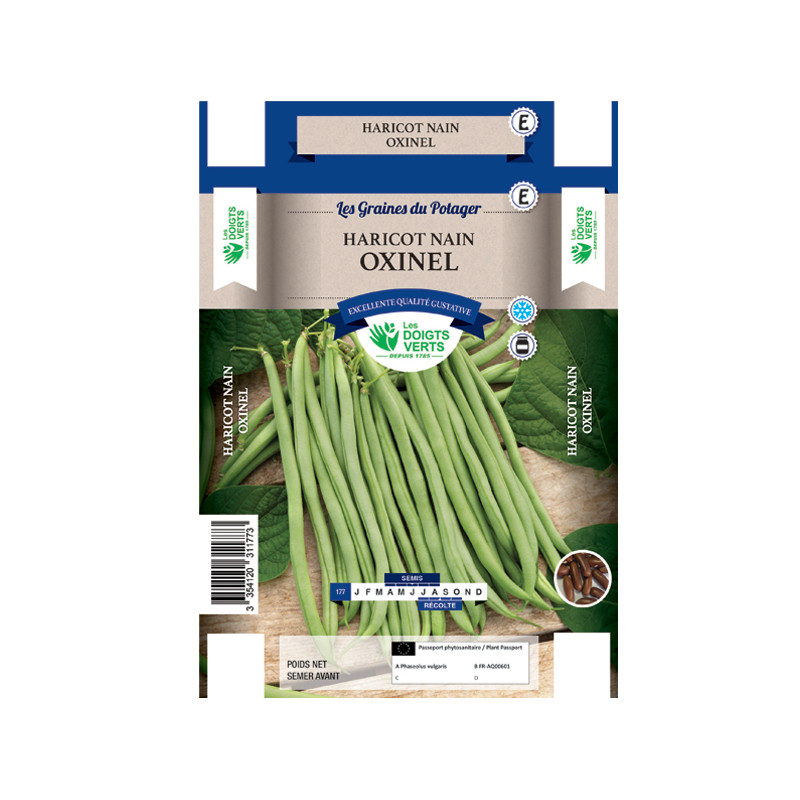 Graines de haricot nain oxinel 200g -graines de Les Doigts Verts - graines de Gironde à Bordeaux dans Graines de Haricot