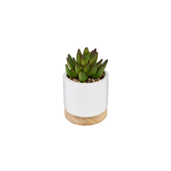 Succulente pot ceramique ery h12 de Fleur artificielle dans Fleur artificielle
