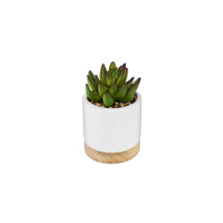 Succulente pot ceramique ery h12 de Fleur artificielle dans Fleur artificielle