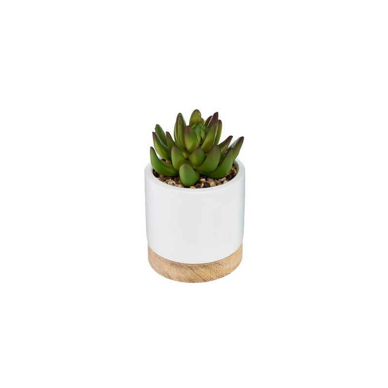 Succulente pot ceramique ery h12 de Fleur artificielle dans Fleur artificielle