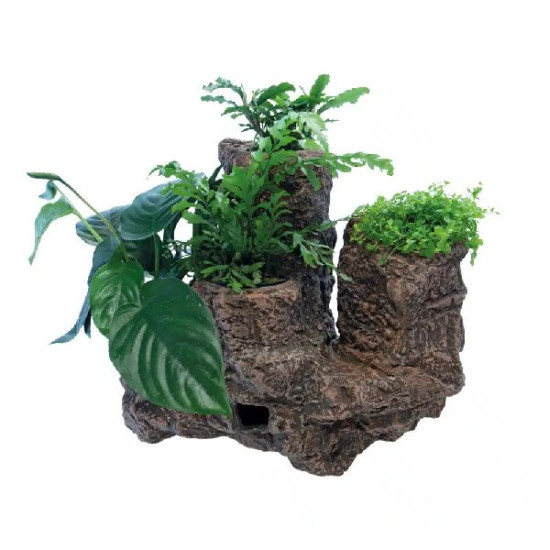 Deco flottante à accrocher pour plantes l de Superfish - Aquadistri - accessoires pour aquarium et bassin dans Sujets pour aq...