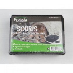 Poste d'appâtage sécurisé pour souris de Protecta - Produits dans 🐁 Raticide / souricide