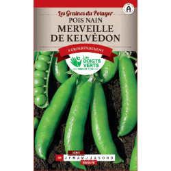 Pois Nain Merveille De Kelvedon 440g -graines de Les Doigts Verts - graines de Gironde à Bordeaux dans Graines de Pois