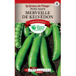 Pois Nain Merveille De Kelvedon 440g -graines de Les Doigts Verts - graines de Gironde à Bordeaux dans Graines de Pois