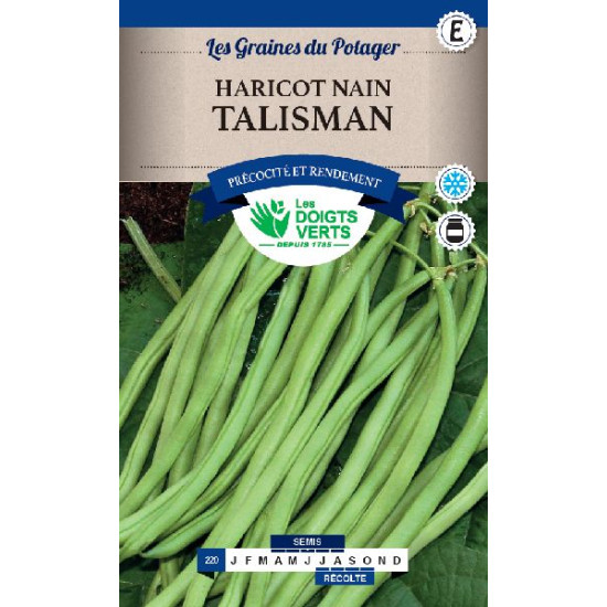 Haricot Nain Talisman 400g -graines de Les Doigts Verts - graines de Gironde à Bordeaux dans Graines de Haricot