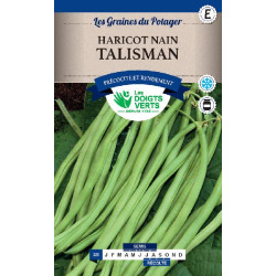 Haricot Nain Talisman 400g -graines de Les Doigts Verts - graines de Gironde à Bordeaux dans Graines de Haricot