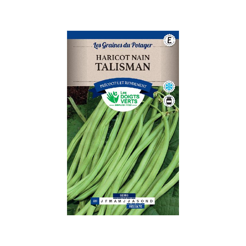 Haricot Nain Talisman 400g -graines de Les Doigts Verts - graines de Gironde à Bordeaux dans Graines de Haricot