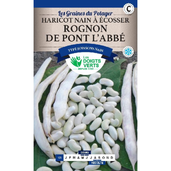 Haricot Nain Rognon De Pont L'Abbe 500G -graines de Les Doigts Verts - graines de Gironde à Bordeaux dans Graines de Haricot