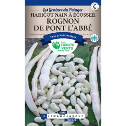 Haricot Nain Rognon De Pont L'Abbe 500G -graines de Les Doigts Verts - graines de Gironde à Bordeaux dans Graines de Haricot