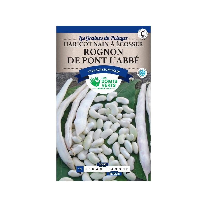 Haricot Nain Rognon De Pont L'Abbe 500G -graines de Les Doigts Verts - graines de Gironde à Bordeaux dans Graines de Haricot