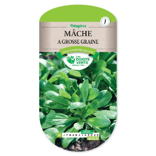 Mache A Grosse Graine - Sem'Facile -graines de Les Doigts Verts - graines de Gironde à Bordeaux dans Graines de Mache