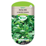 Mache A Grosse Graine - Sem'Facile -graines de Les Doigts Verts - graines de Gironde à Bordeaux dans Graines de Mache