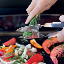 CISEAUX CULINAIRES de ENO - Plancha dans Accessoires plancha