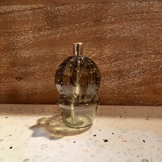 Lampe a huile cactus boule s de Jardinerie Bordeaux Libourne Gironde dans Eclairages - Luminaires - Lampes