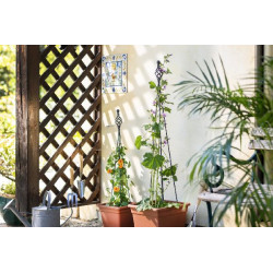 Obélisque Pliable Zwirbel 150 Support Plante de Windhager - Accessoires de jardin dans Treillage pour le jardin