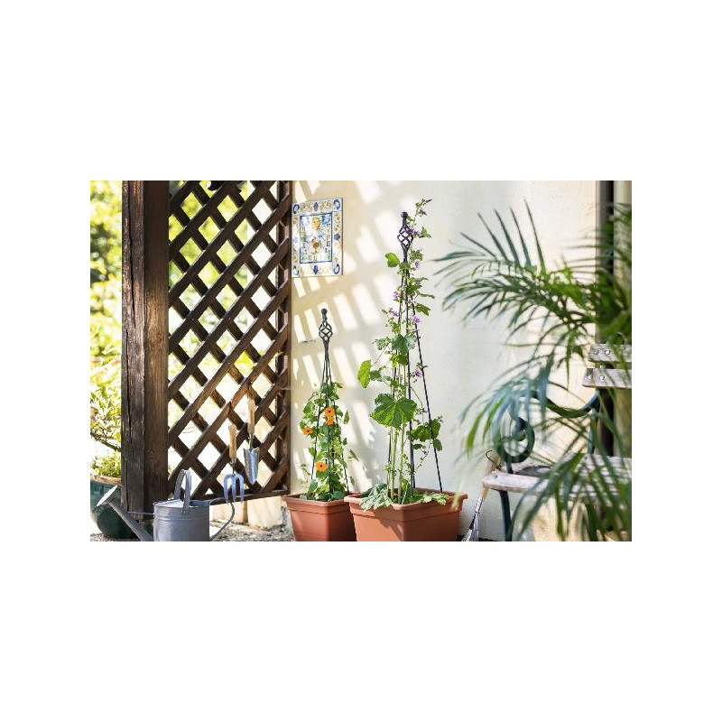 Obélisque Pliable Zwirbel 90 Support Plante de Windhager - Accessoires de jardin dans Treillage pour le jardin
