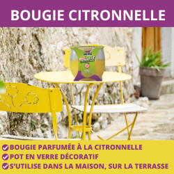 Bougie citronnelle 1 bougie - pot en verre - 25h de Acto dans 🦟 Produits Moustiques