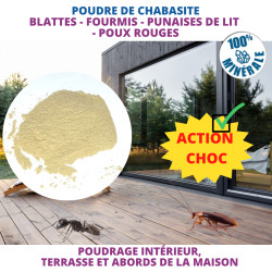Poudre de chabasite rampants de Acto dans 🕷🪰Produits anti Insectes volants et rampants