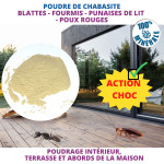 Poudre de chabasite rampants de Acto dans 🕷🪰Produits anti Insectes volants et rampants