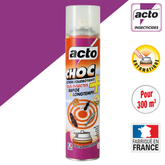 Aérosol choc action foudroyante 200 ml de Acto dans 🕷🪰Produits anti Insectes volants et rampants