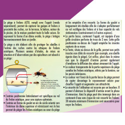 Piège frelons - frelons asiatiques de Acto dans 🐝 Produits anti Guêpes et frelons