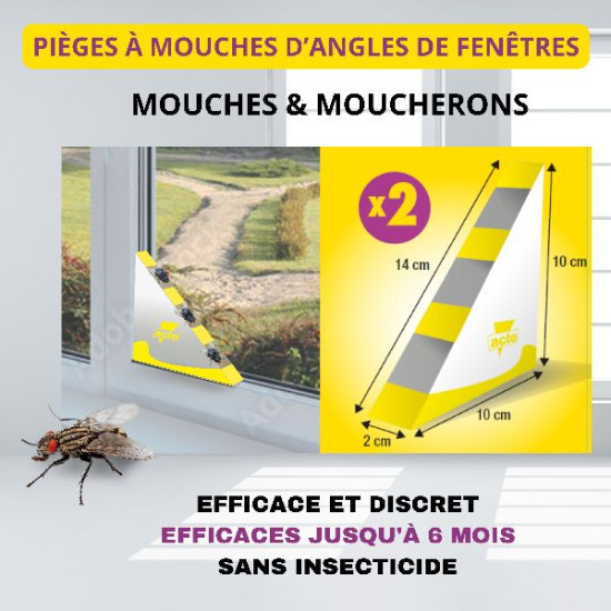 Attrape mouches - pièges à glu de fenêtres x 2 de Acto dans 🪰 Produits anti Mouches