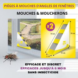 Attrape mouches - pièges à glu de fenêtres x 2 de Acto dans 🪰 Produits anti Mouches