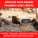 Ultrasons ip44 - rats - souris - fourmis 80 m² de Acto dans 🐁 Raticide / souricide