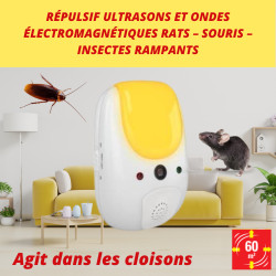 Ultrasons ondes rats - souris - insectes 60 m² de Acto dans 🐁 Raticide / souricide