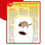 Ultrasons ondes rats - souris - insectes 60 m² de Acto dans 🐁 Raticide / souricide