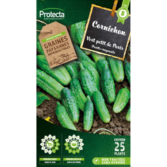 Cornichon vert petit de paris - 3g de graines de Protecta - Produits dans Graines de Cornichon