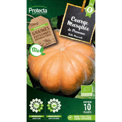 Courge musquée de provence bio - 4g de graines de Protecta - Produits dans Graines de Courgette - Courge