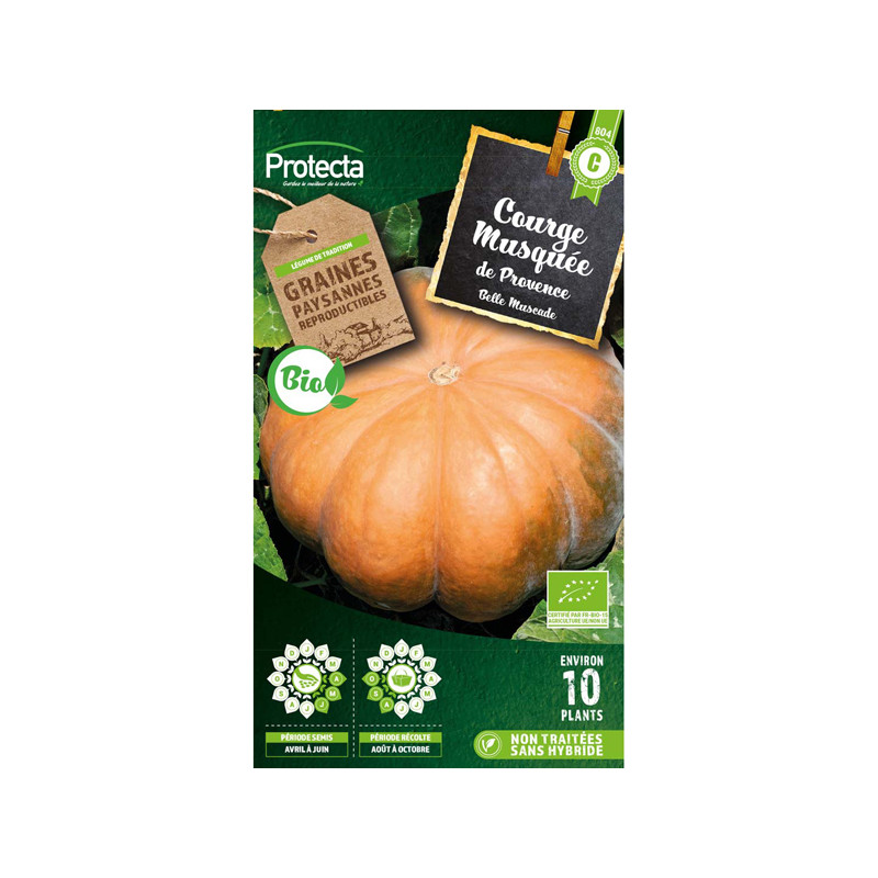 Courge musquée de provence bio - 4g de graines de Protecta - Produits dans Graines de Courgette - Courge
