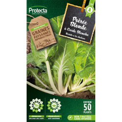 Poirée blonde à carde blanche 2 - 4g de graines de Protecta - Produits dans Graines de Poiree