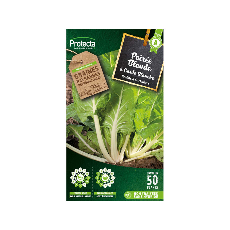 Poirée blonde à carde blanche 2 - 4g de graines de Protecta - Produits dans Graines de Poiree