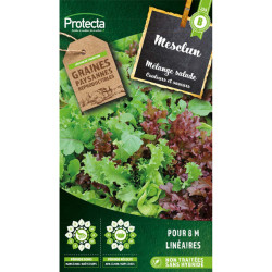 Mesclun salade en mélange - 4g de graines de Protecta - Produits dans Graines de Mesclun